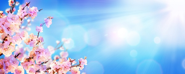 戰(zhàn)疫情，北京韋林公司全體員工齊心協(xié)力共克時艱！